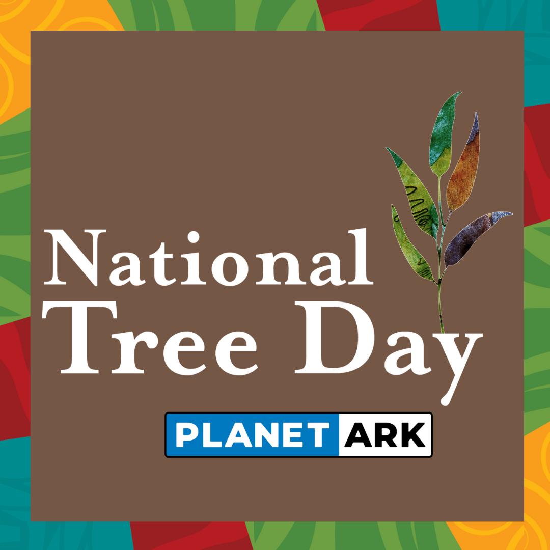 National Tree Day