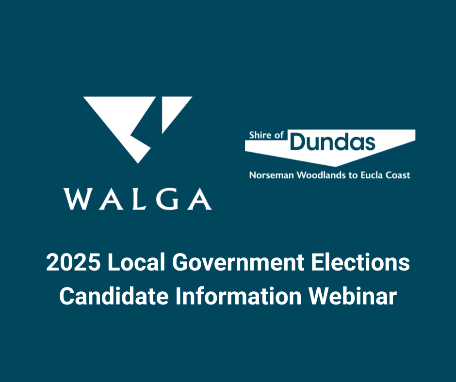 Local Government Elections Candidate Information Webinar