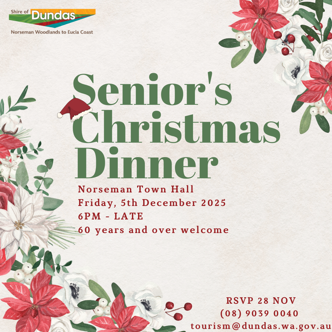 Senior's Christmas Dinner